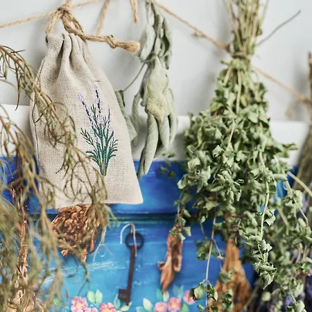 Szept Galeria Dominikanska By Renters Appartement