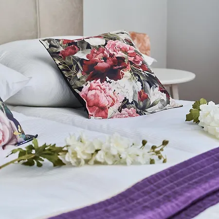 Szept Galeria Dominikanska By Renters Breslavia